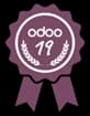 Odoo 19 Certified